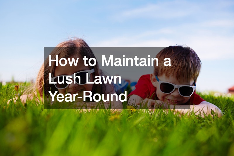 How to Maintain a Lush Lawn Year-Round