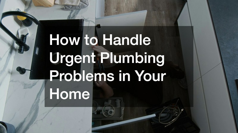 How to Handle Urgent Plumbing Problems in Your Home